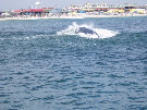 architectural_offshore_hard_copy_02_25_10007008.jpg