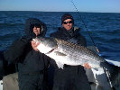 architectural_offshore_hard_copy_02_25_10008007.jpg
