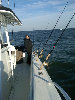 architectural_offshore_hard_copy_02_25_10008008.jpg