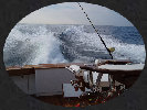 architectural_offshore_hard_copy_02_25_10079005.jpg