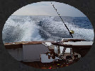 architectural_offshore_hard_copy_02_25_10081006.jpg